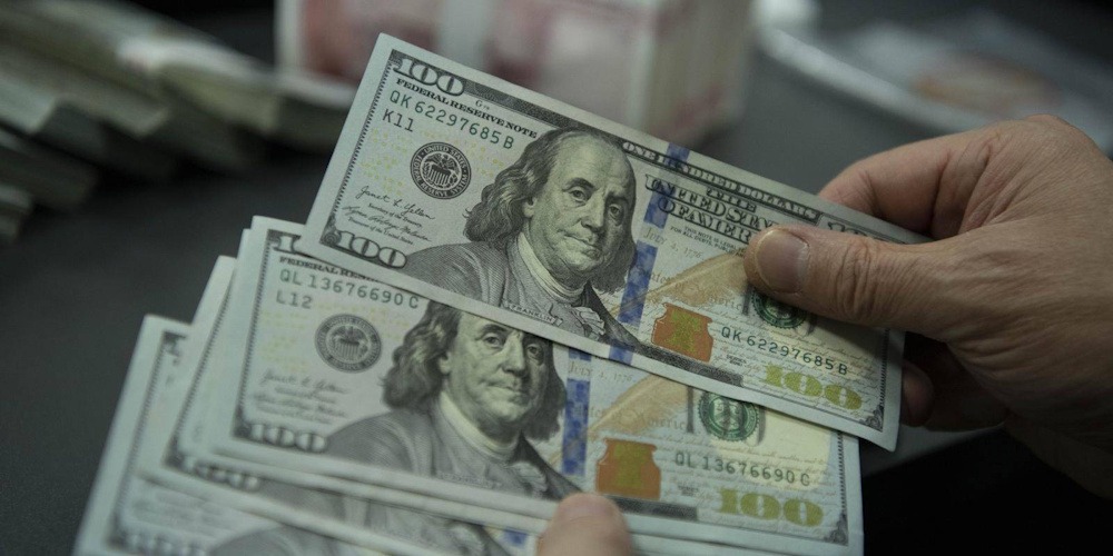 Greenback