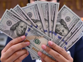 US Dollar News